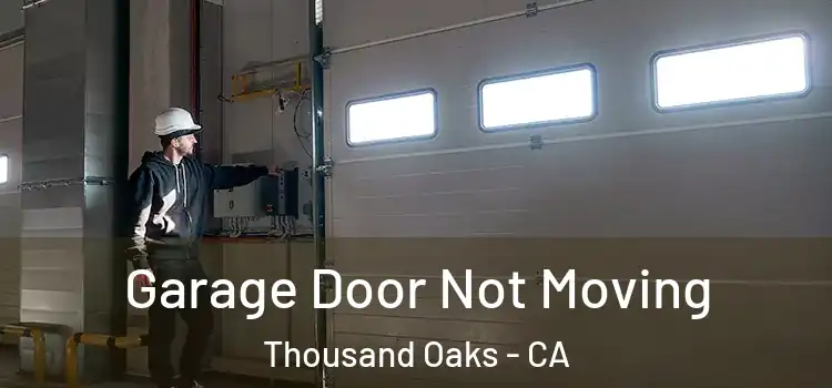  Garage Door Not Moving Thousand Oaks - CA