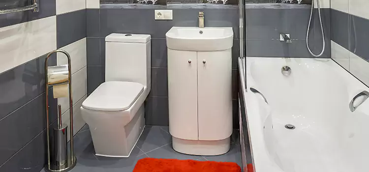 Hansgrohe Shaving Mirror Thousand Oaks
